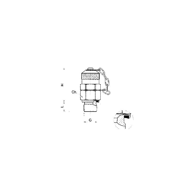 Miniprese ISO228 G1/8 630 bar  serie MMP404