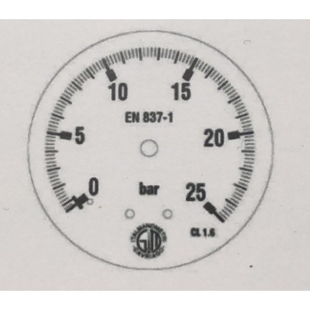 Manometro GR100 0/25bar attacco rad G1/2serie LX isometrici